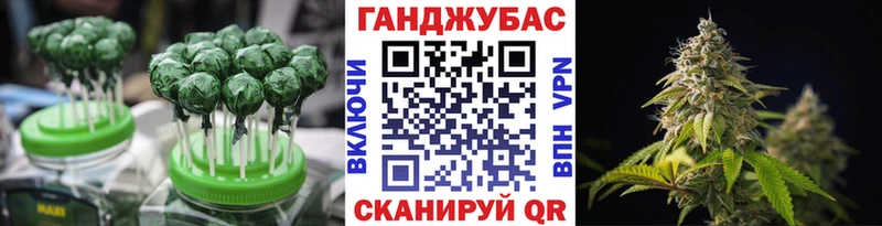 где найти Зима Cannafood марихуана