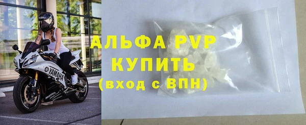 стаф Коряжма