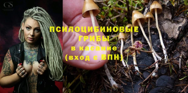 гидропоника Балахна