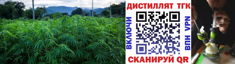 купить наркотики цена  Зима  ТГК Wax 